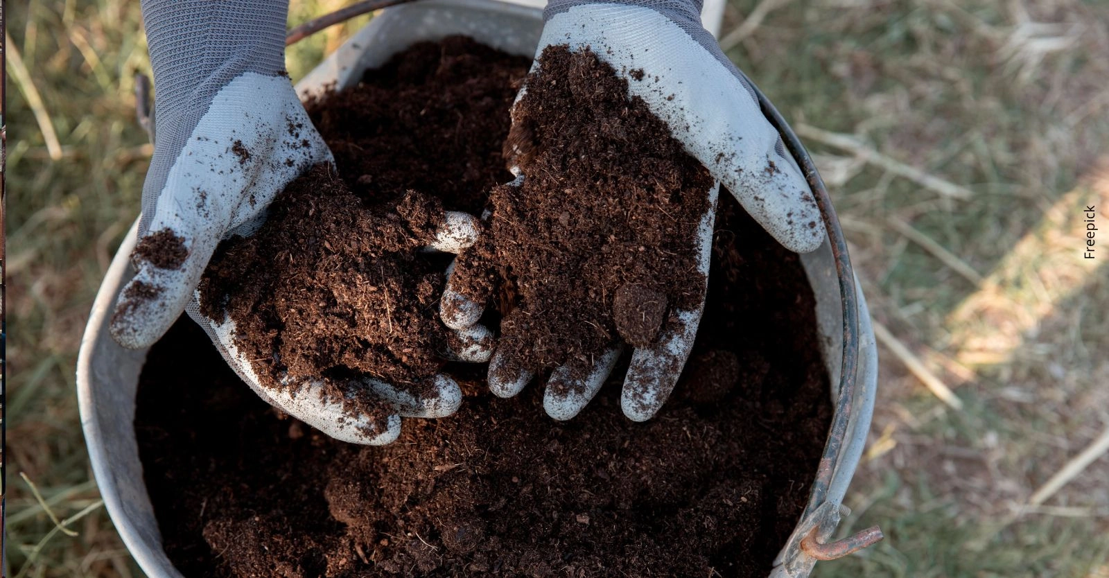 Desmantelan red de tráfico de clorato oculto en abonos enviados desde Ecuador a Colombia