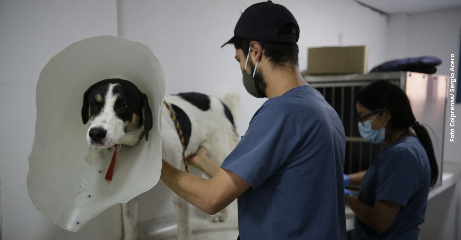 COLPRENSA CATALINA DÍAZ.jpg