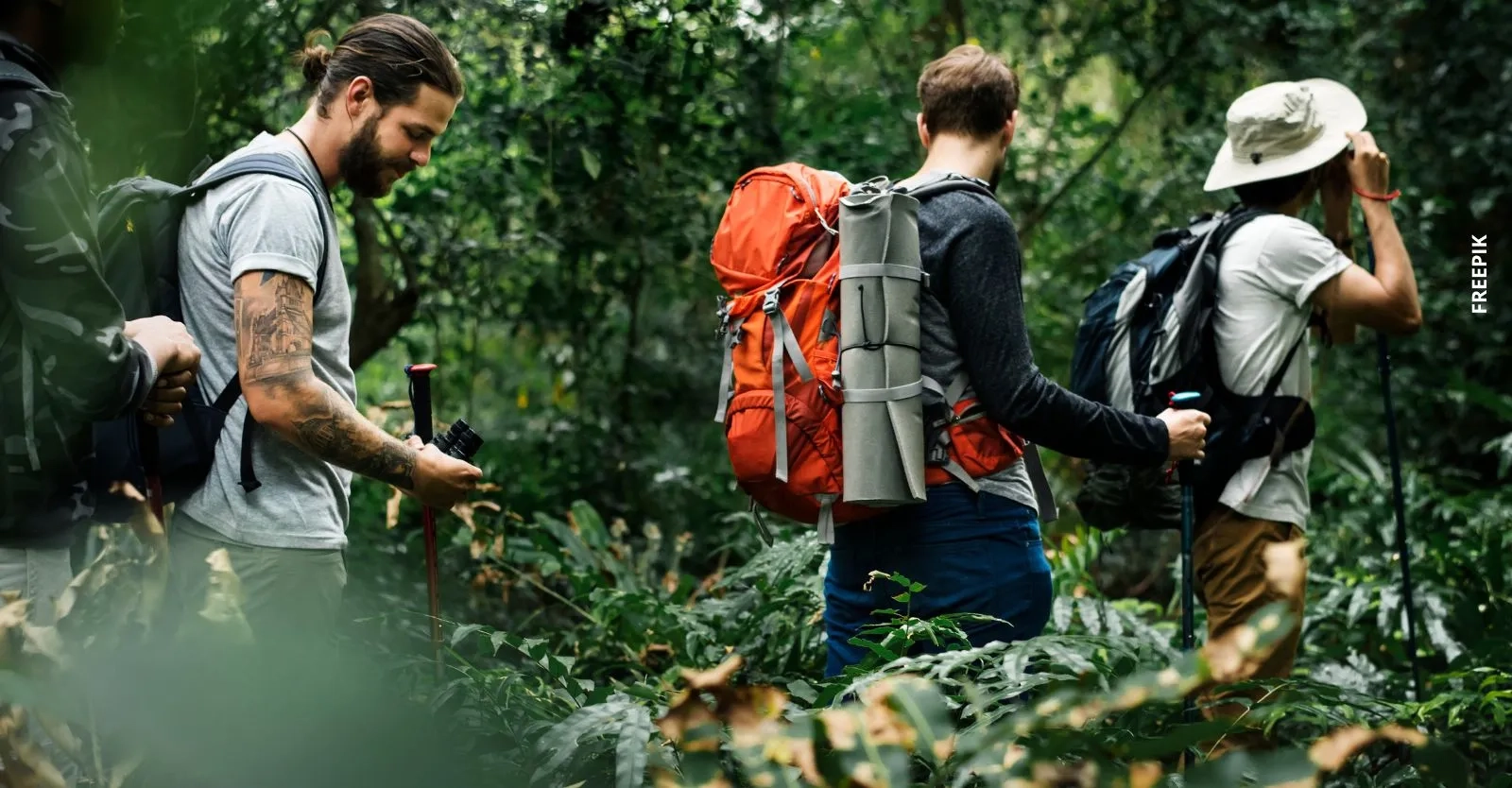 Conoce cómo asistir a las caminatas ecológicas gratis en Bogotá