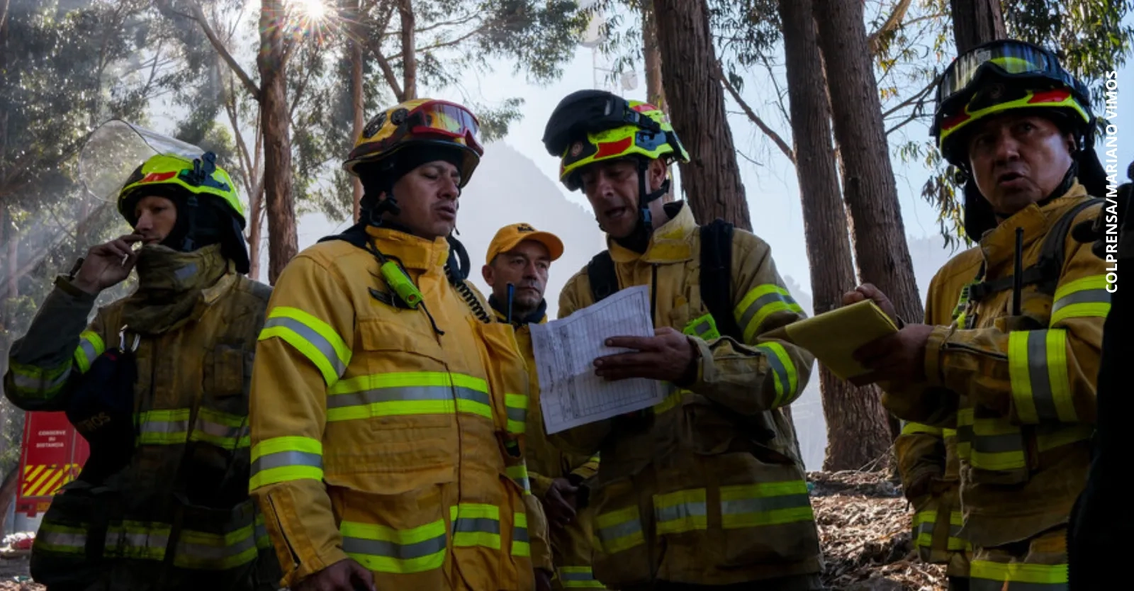 Conoce el paso a paso para prevenir y reportar incendios forestales