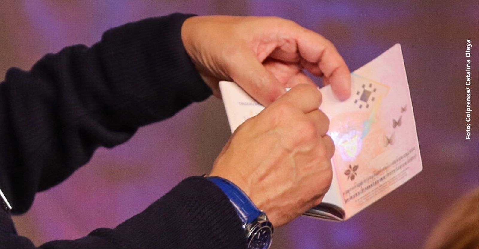 FOTOS PRENSA (5).jpg