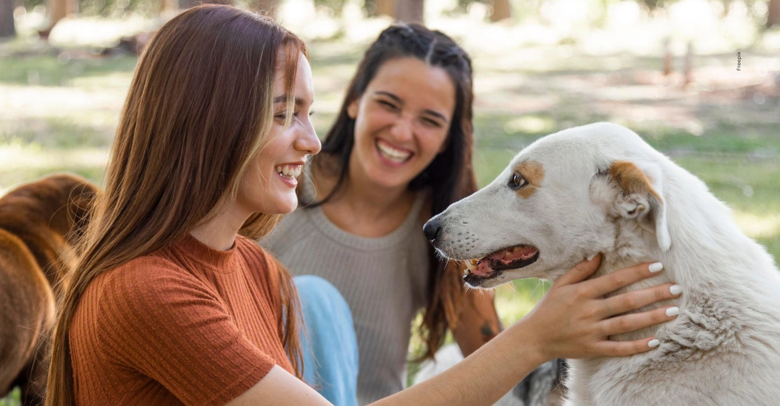 Ley colombiana endurece reglas para dueños de mascotas.