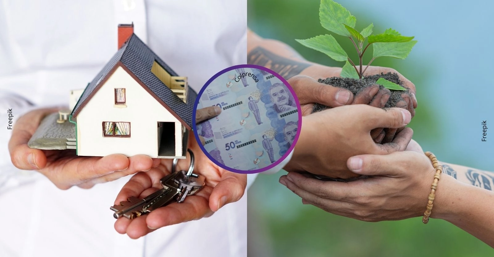 Impuesto predial en Bogotá: ¿Cómo obtener un descuento adicional con una certificación ambiental?