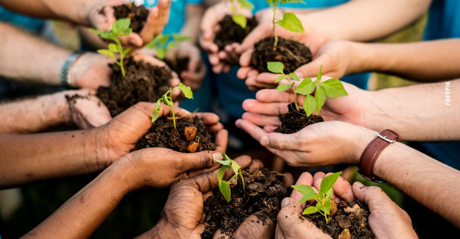 Jardín Botánico presentó estrategia ambiental en las 20 localidades de Bogotá 1.jpg