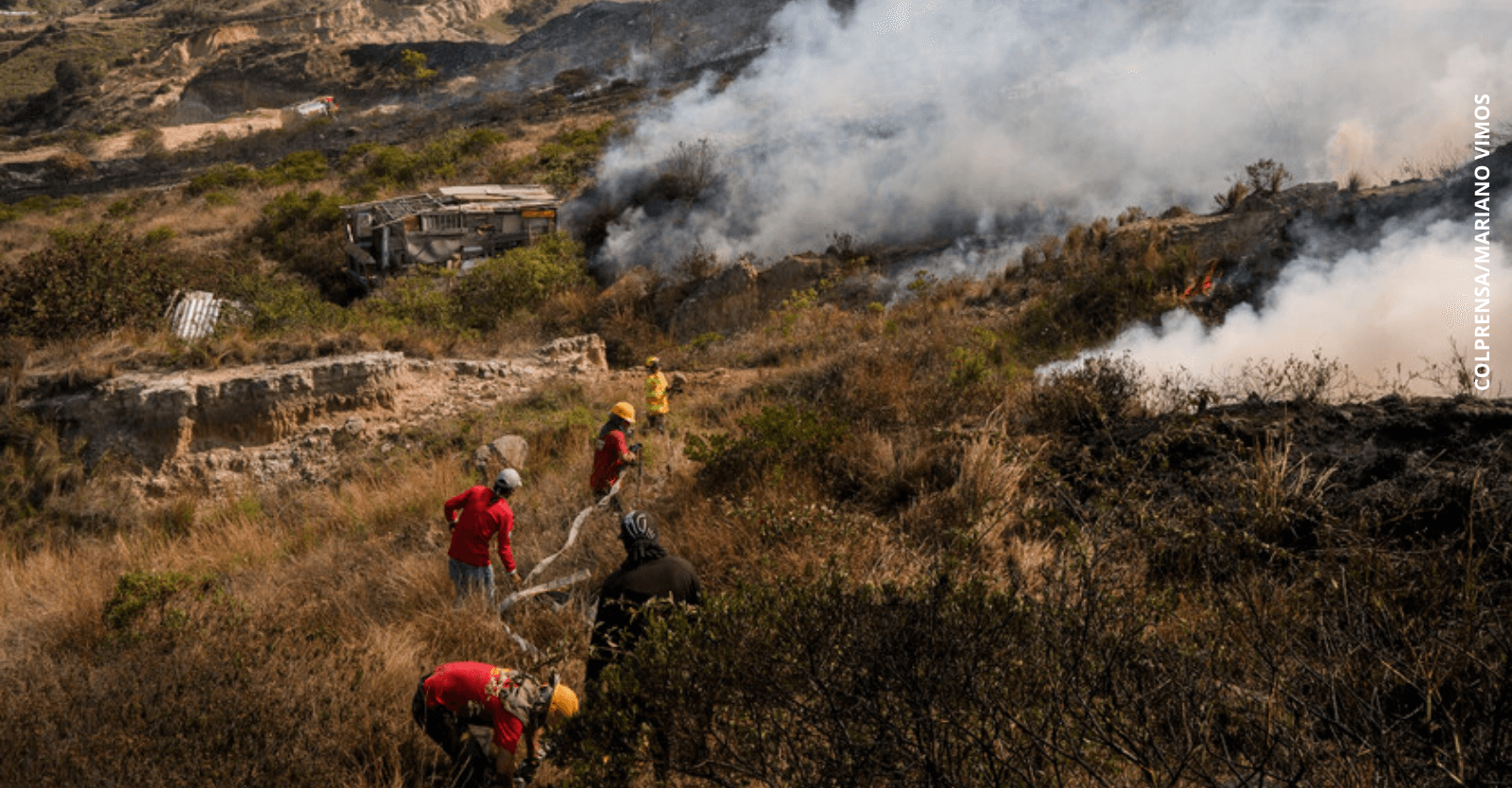 Reportar incendios forestales a tiempo.png