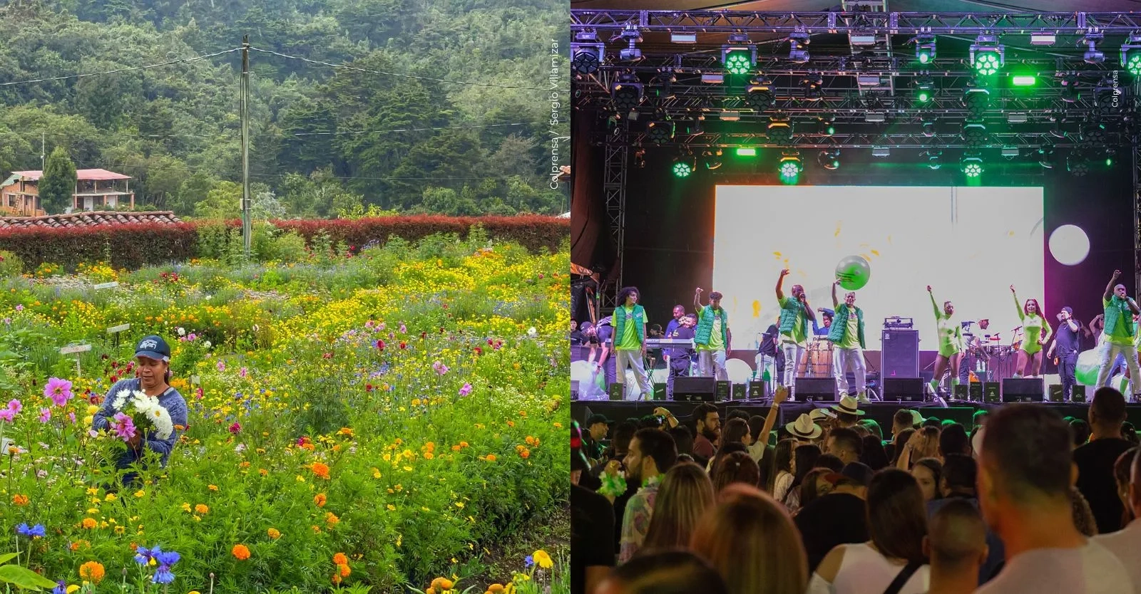 Feria de las Flores Medellín 2026: programación oficial, fechas, artistas, desfiles y cómo participar en el sorteo de graderías