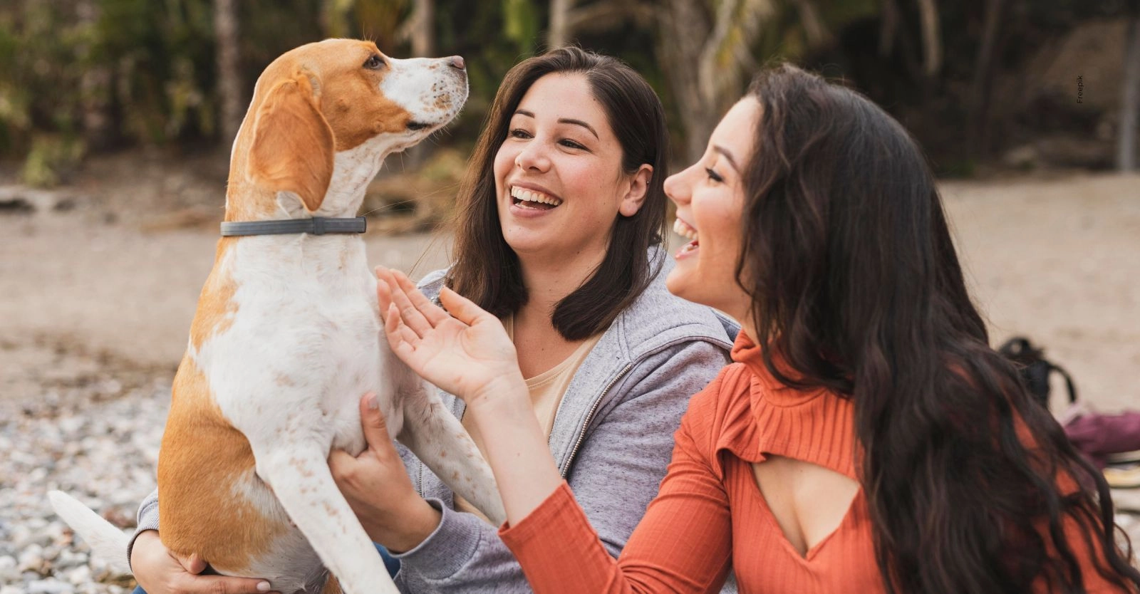 Ley colombiana endurece reglas para dueños de mascotas.