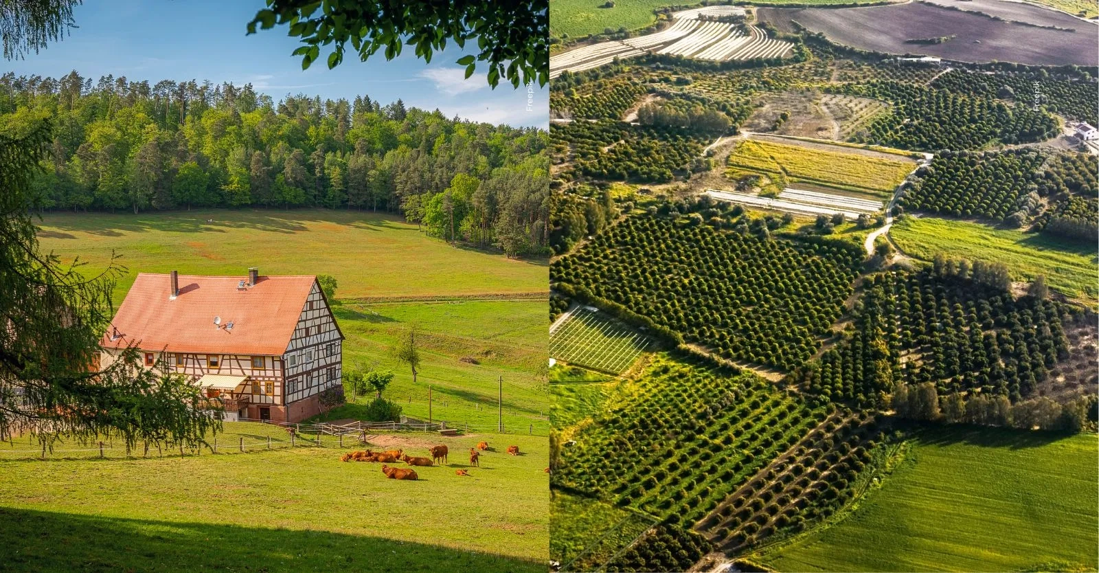 Remates Banco Agrario 2026: casas y lotes desde $14 millones en ...