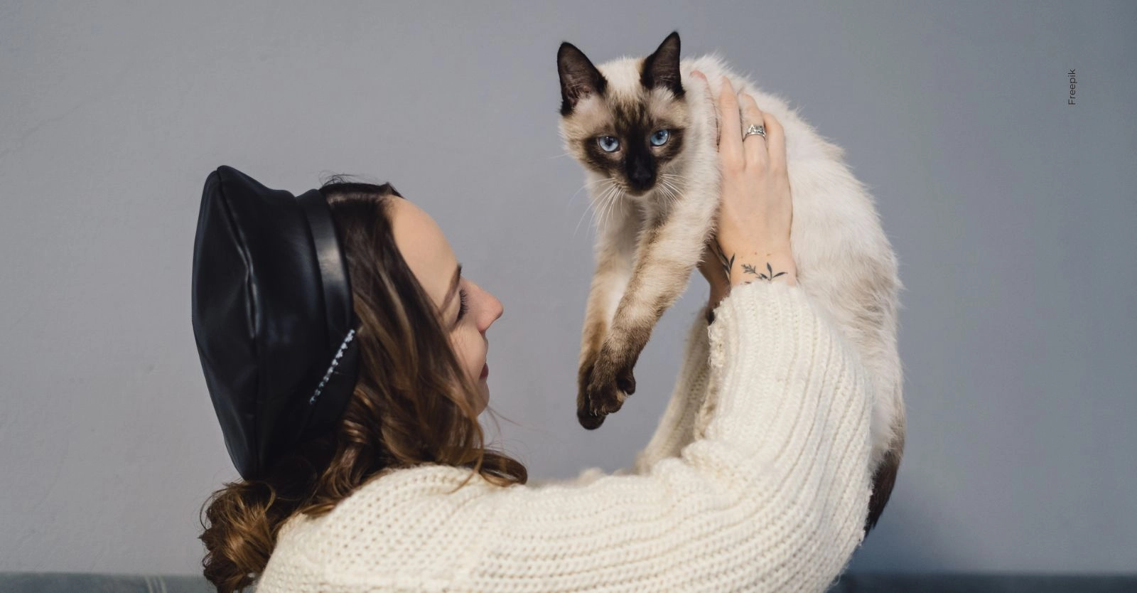 Multas para dueños de gatos: lo que dice la ley y cómo evitar sanciones.