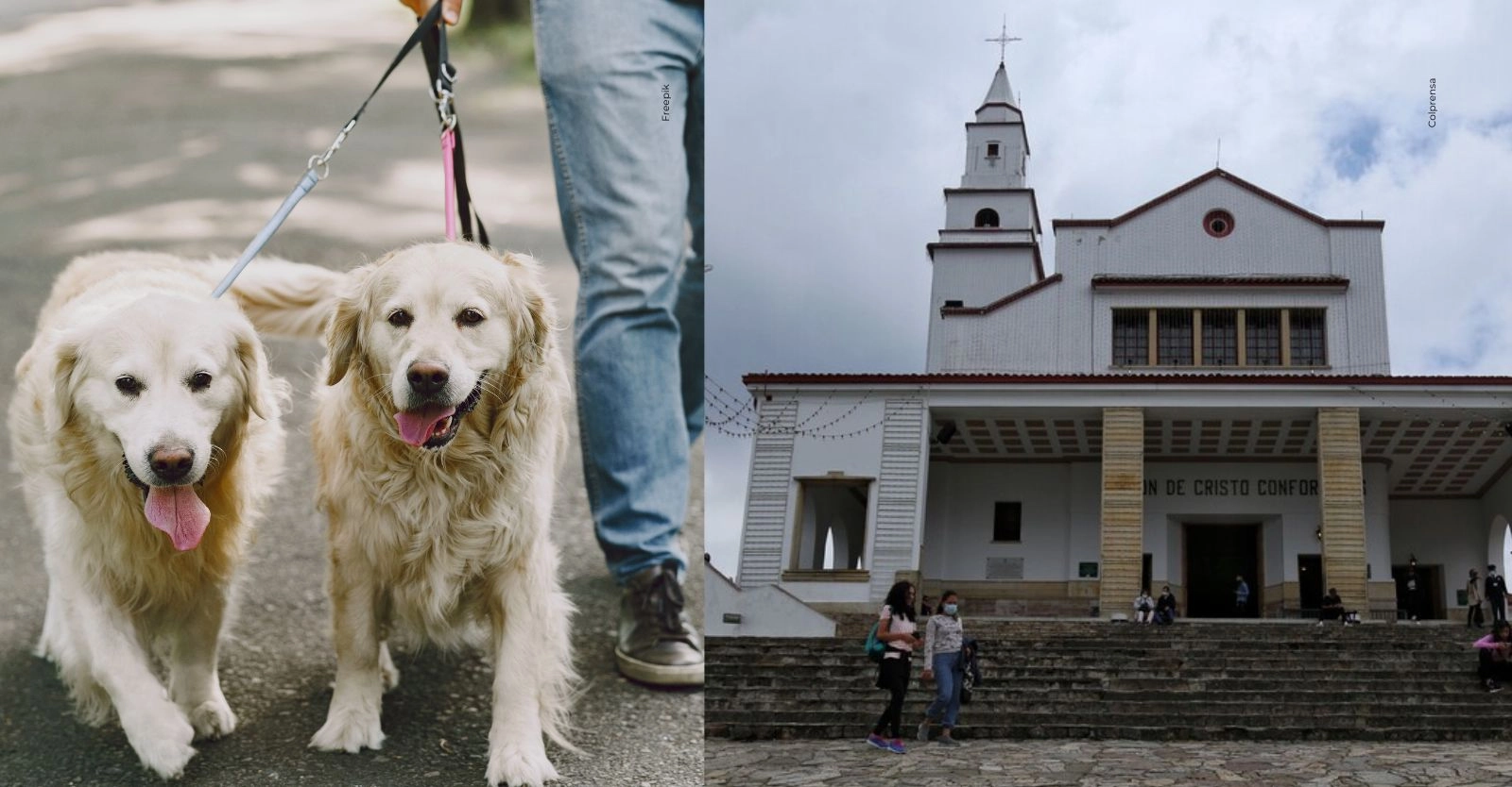 Monserrate en Semana Santa: lo que debes saber si vas con tu mascota.