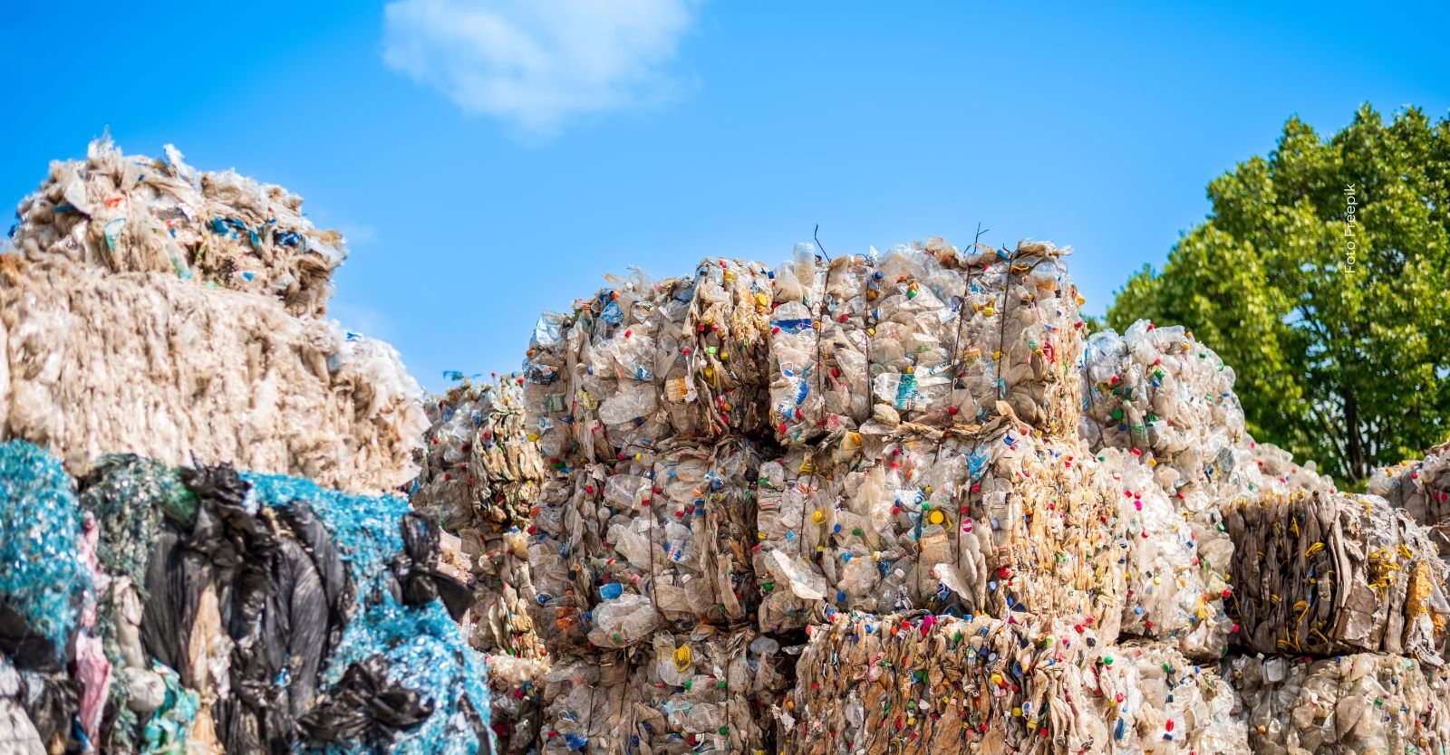 reciclaton2026 (1).jpg