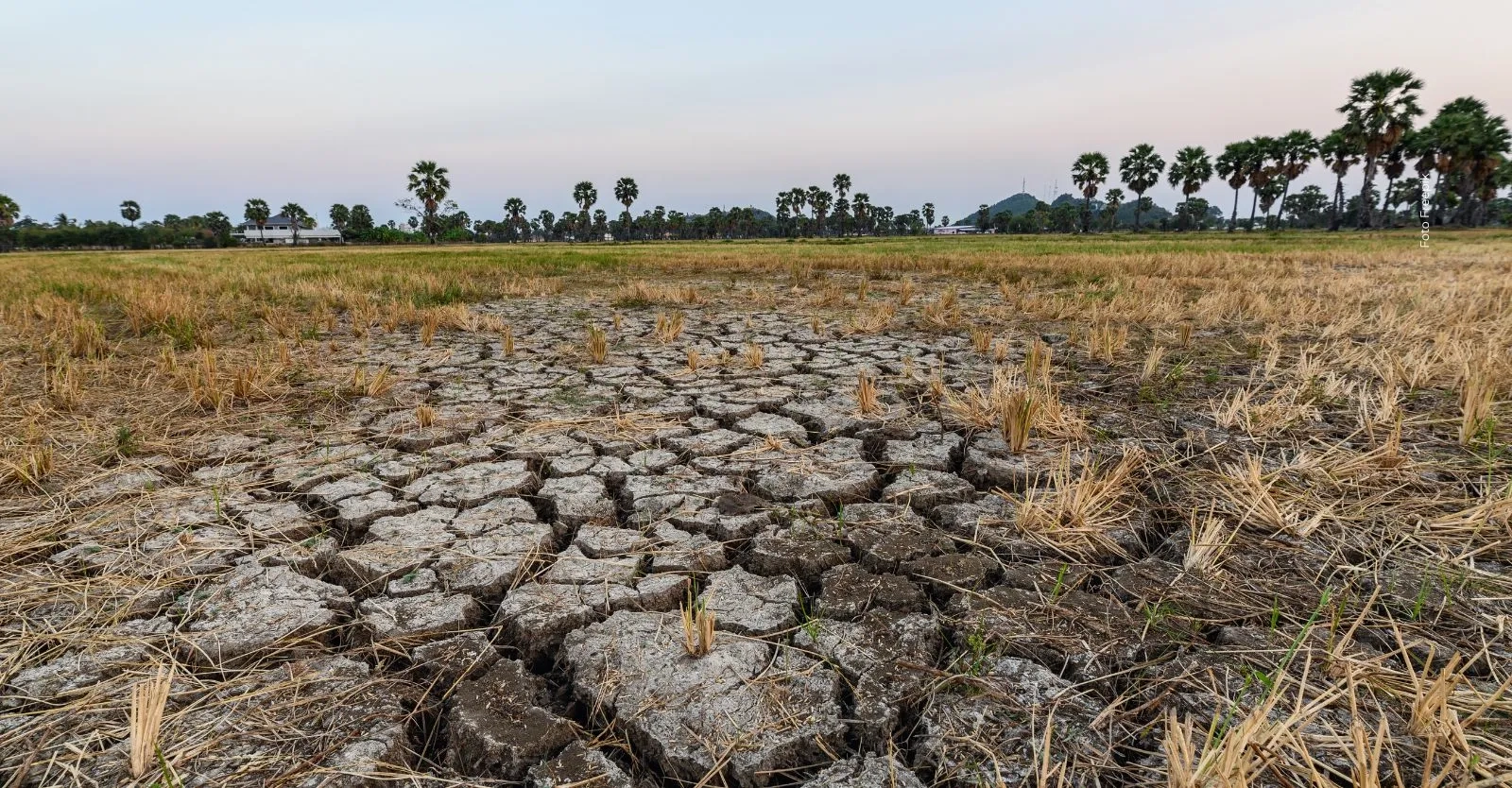 ¿Cuáles son las prácticas que agravarían los efectos del fenómeno de El Niño? Gobierno lanzó advertencia