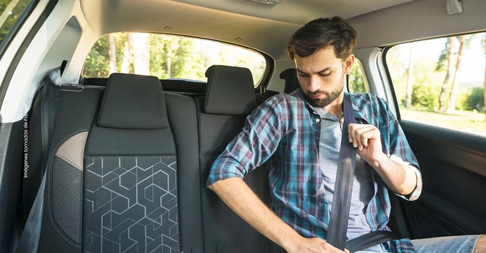 Multa por no usar cinturón de seguridad en el asiento trasero de un carro en Colombia.